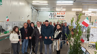 Ascoli Piceno - Torna la Mostra Colombofila ed Avicola: il 13 e il 14 dicembre al Centro Liebherr di Campolungo